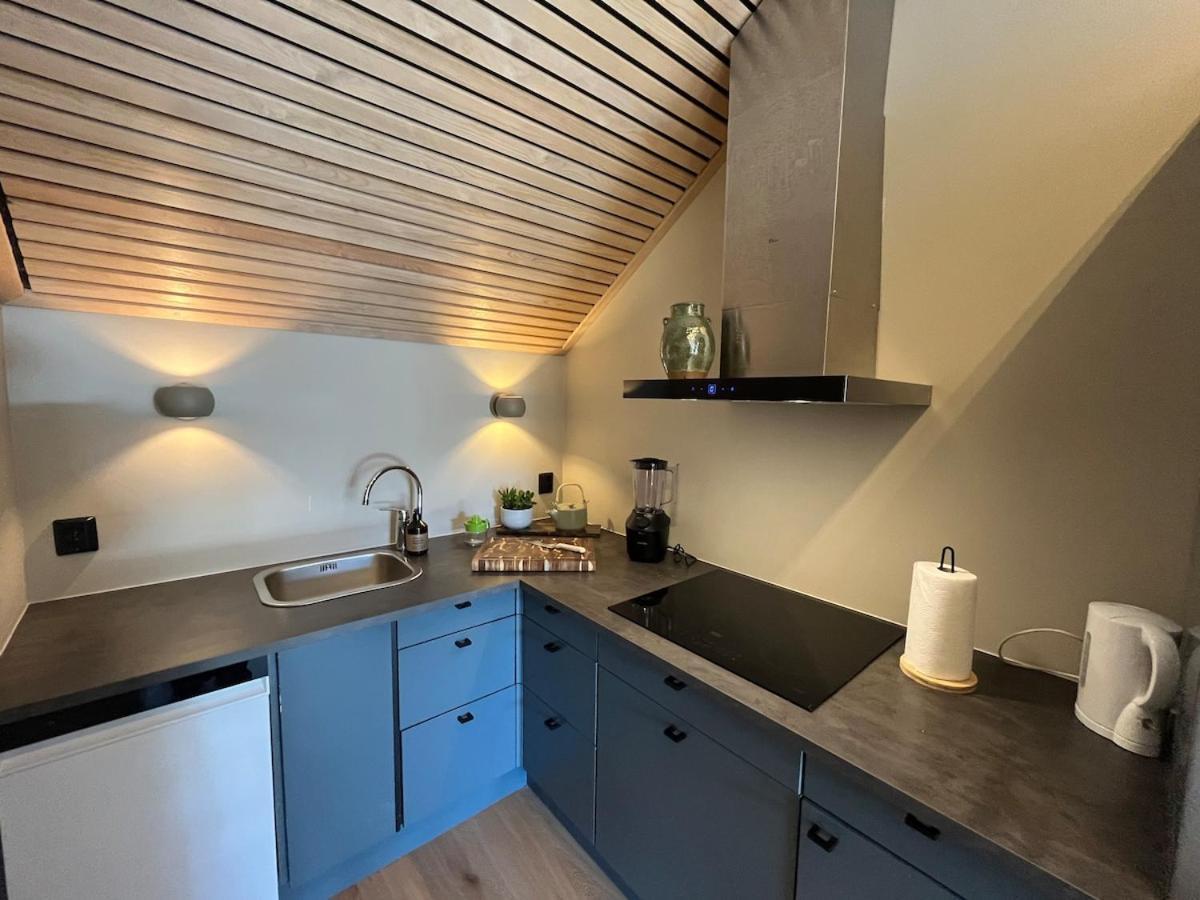 Modern Vaskerelven 12